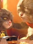 斑布猫日常系列短片